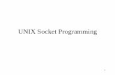 UNIX Socket Programming - University of Minnesota