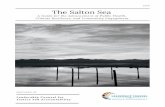 The Salton Sea - Leadership Counsel