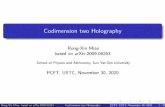 Codimension two Holography