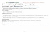 Immunotoxicity in White Leghorn Cockerels Subchronic ...