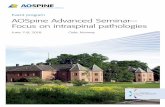Event program AOSpine Advanced Seminar— Focus on ...