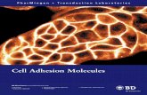 Cell Adhesion Molecules - bdj.co.jp