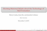 Eliciting Maternal Beliefs about the Technology of Skill ...