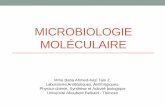 MICROBIOLOGIE MOLÉCULAIRE