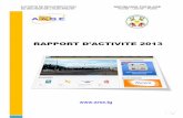 RAPPORT D’ACTIVITE 2013 - ARSE