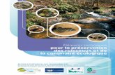 Éléments techniques pour la préservation des ruisseaux et ...