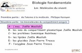 Biologie fondamentale - WordPress.com