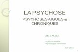 PSYCHOSES AIGUES & CHRONIQUES - wifeo.com