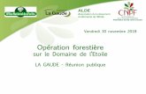 ALDE - domaine-etoile.org
