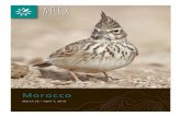 Morocco - apex-expeditions.com
