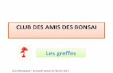 CLUB DES AMIS DES BONSAI Les greffes
