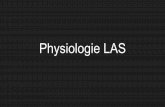 Physiologie LAS
