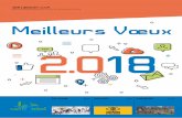 468 Janvier 2018 Meilleurs Voeux 2 - Ville de Saint-Michel ...
