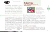 Autophagie et système cardiovasculaire