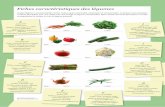 Fiches caractéristiques des légumes