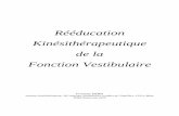 Rééducation Kinésithérapeutique de la Fonction Vestibulaire