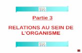 Partie 3 RELATIONS AU SEIN DE - COLLEGE LIBERTE