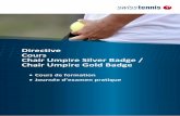 Directive Cours Chair Umpire Silver Badge / Chair Umpire ...