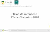 Bilan de campagne Pêche-Nectarine 2020 - Interfel