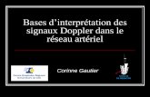 Bases d’interprétation des signaux Doppler dans le réseau ...