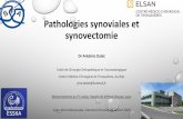 Pathologies synoviales et synovectomie