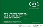 The labour market and poverty impacts of ... - South Africa