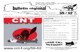 Bulletin régional CNT 59/62 - n° 26 - Hiver 2008