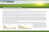 FORAGE SOLUTIONS - Hubbard Feeds