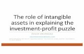 The role of intangible assets in explaining the investment ...