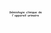 Sémiologie clinique de lʼappareil urinaire