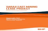 Saraji East Mining Lease Project