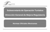 Subsecretaría de Operación Turística Dirección General de ...