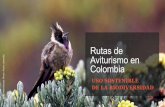 Rutas de aviturismo en Colombia ICCF Jun 4