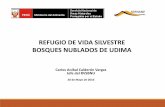 REFUGIO DE VIDA SILVESTRE BOSQUES NUBLADOS DE UDIMA