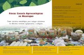 Fincas Escuela Agroecológicas en Nicaragua