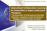 Intercultural Collaborative Learning at Universities in ...