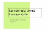 humano-caballo Equinoterapia: vínculo