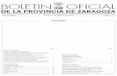 BOLETIN OFICIAL - dpz.es