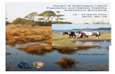Horses of Assateague Island Population and Habitat ...