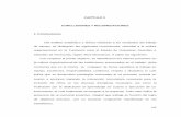 CAPÍTULO V CONCLUSIONES Y RECOMEDACIONES 1. Conclusiones