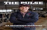 The Pulse - Winter 2020 - Holstein Association USA, The ...