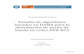 Estudio de algoritmos DAma sobre DVB-RCS