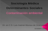 Sociología Médica Determinantes Sociales