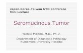Japan-Korea-Taiwan GYN Conferece Mini Lecture