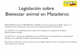 Legislación sobre Bienestar animal en Mataderos