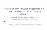 Effects of new forest management on insect damage risk in ...