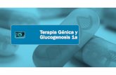 Terapia Génica y Glucogenosis1a