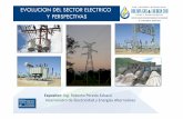 EVOLUCION DEL SECTOR ELECTRICO Y PERSPECTIVAS