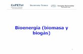 Bioenergía (biomasa y biogás)
