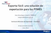 Exporta Fácil: una solución de exportación para las PYMES